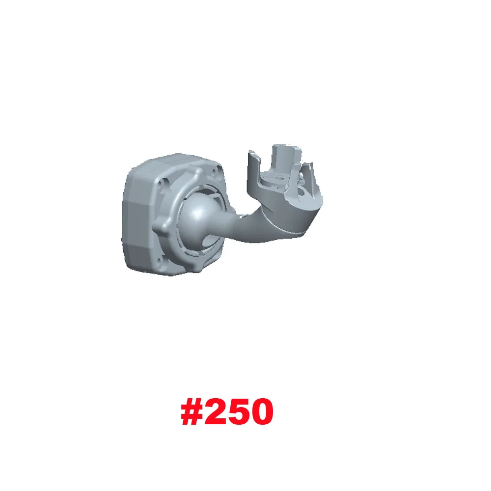 250
