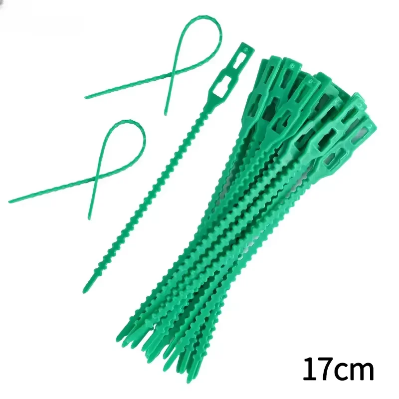 17cm 50pcs