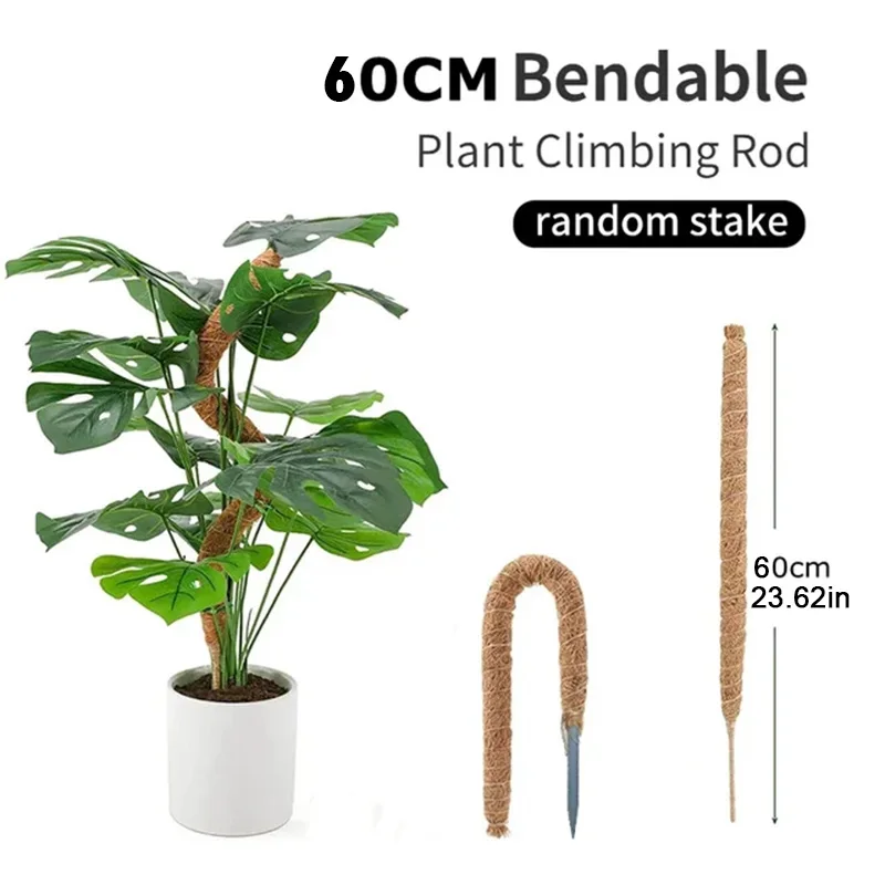 60cm