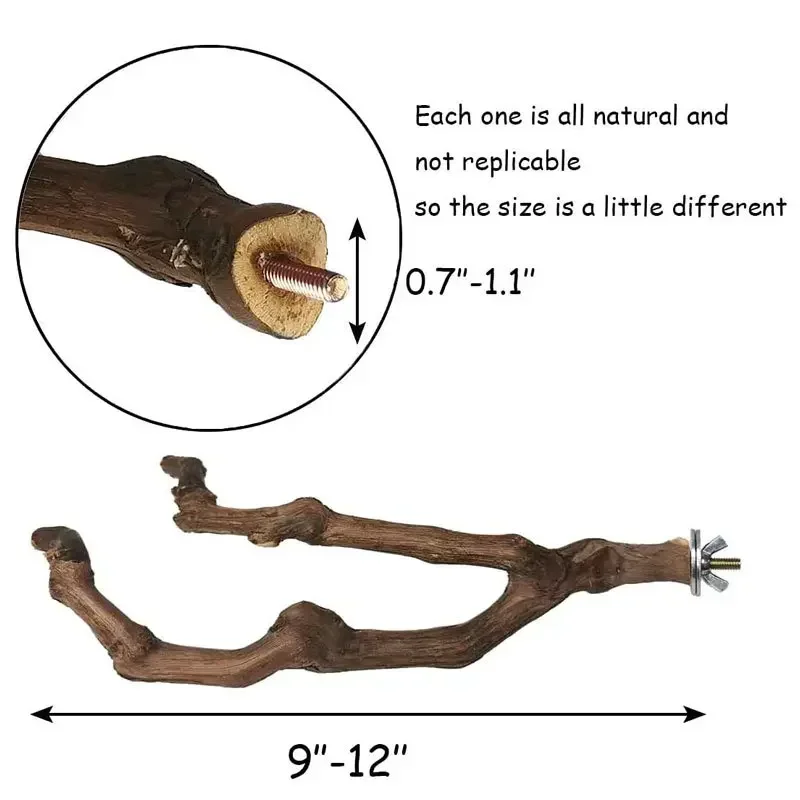 bifurcated branche