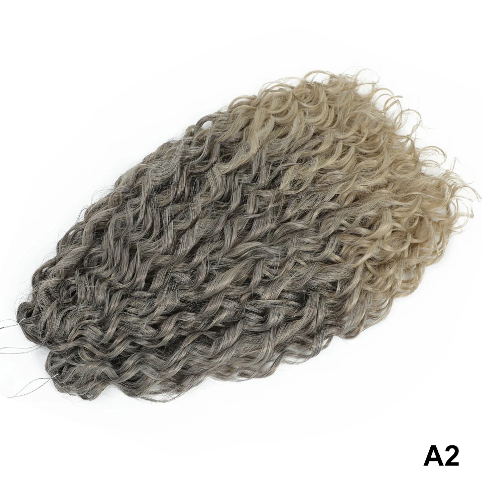 A2