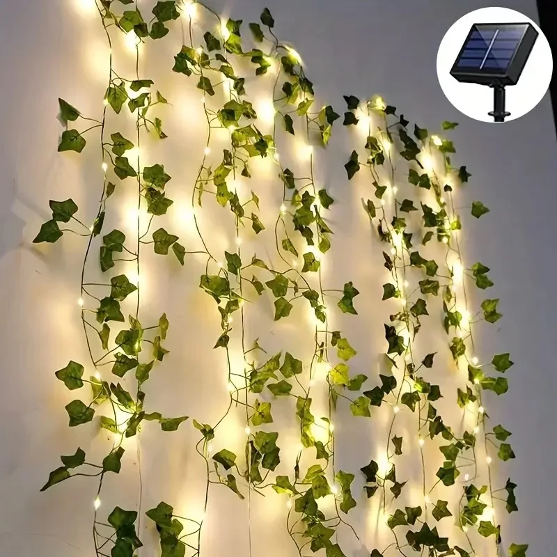 Vine