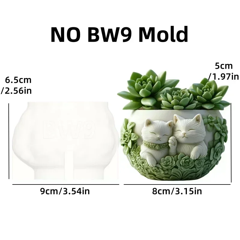 NO BW9 mold