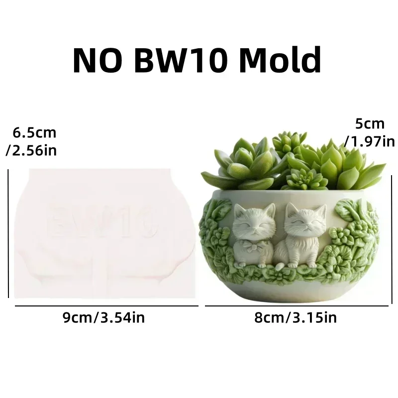NO BW10 mold