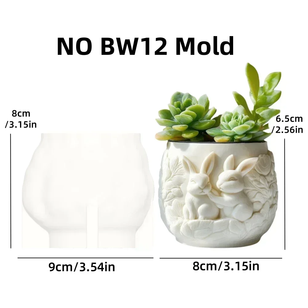 NO BW12 mold