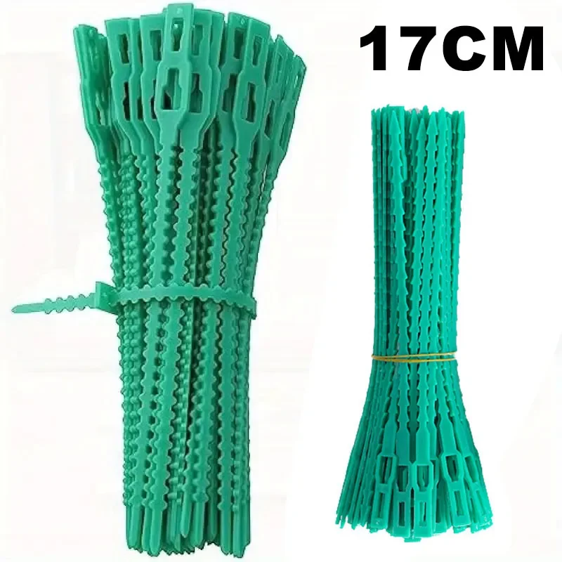17cm