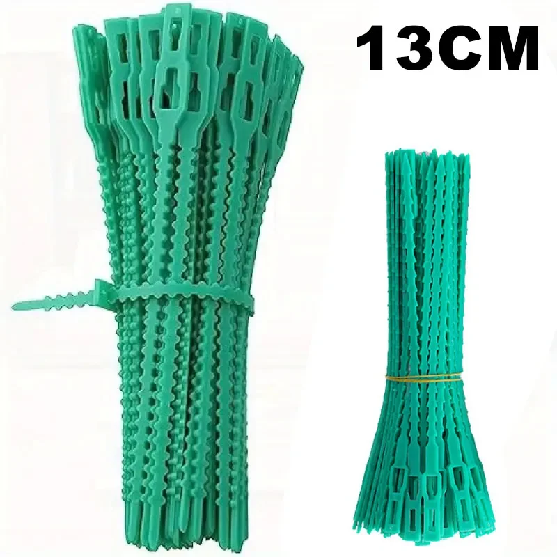 13cm