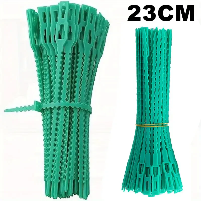 23cm