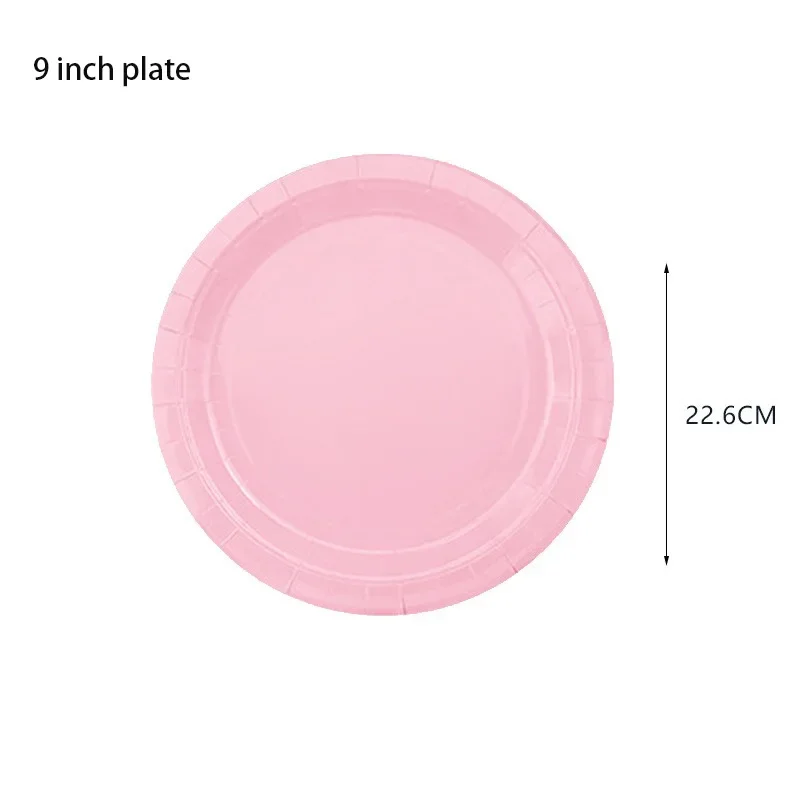 24pcs 9 inch plate