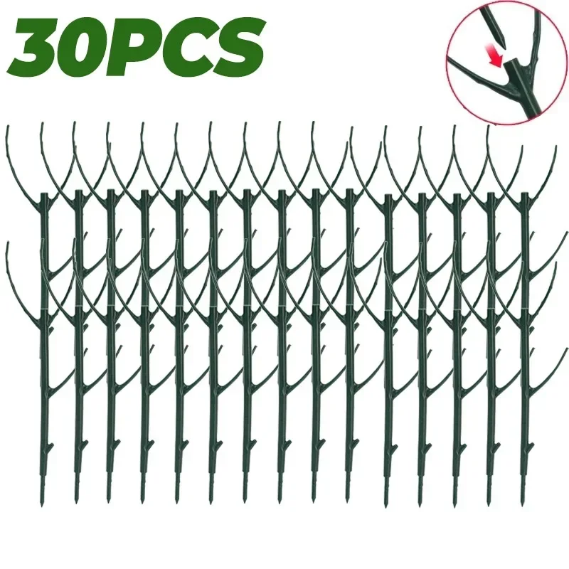30PCS