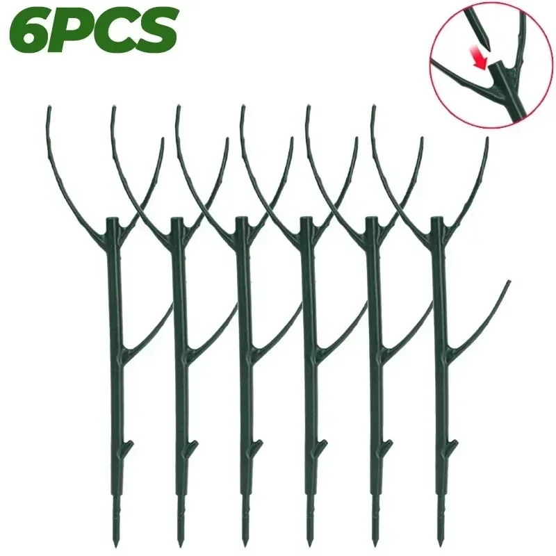 6PCS