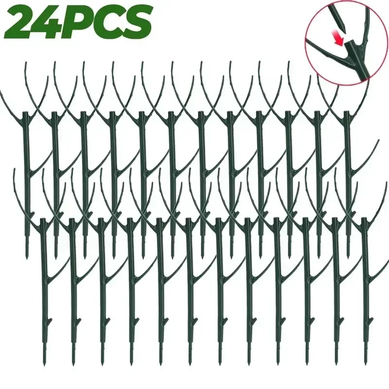 24PCS