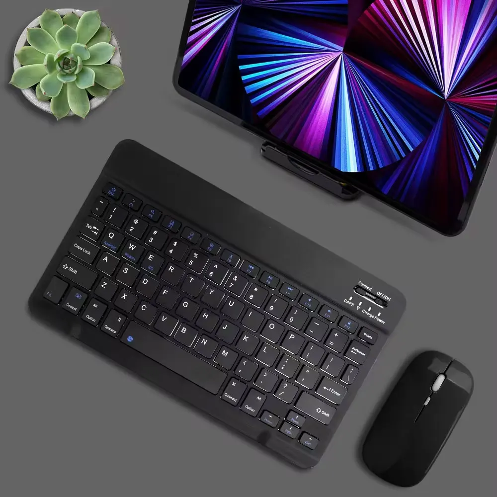 Black and mouse