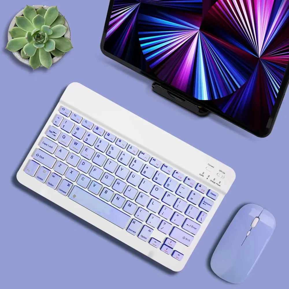 Purple and mouse