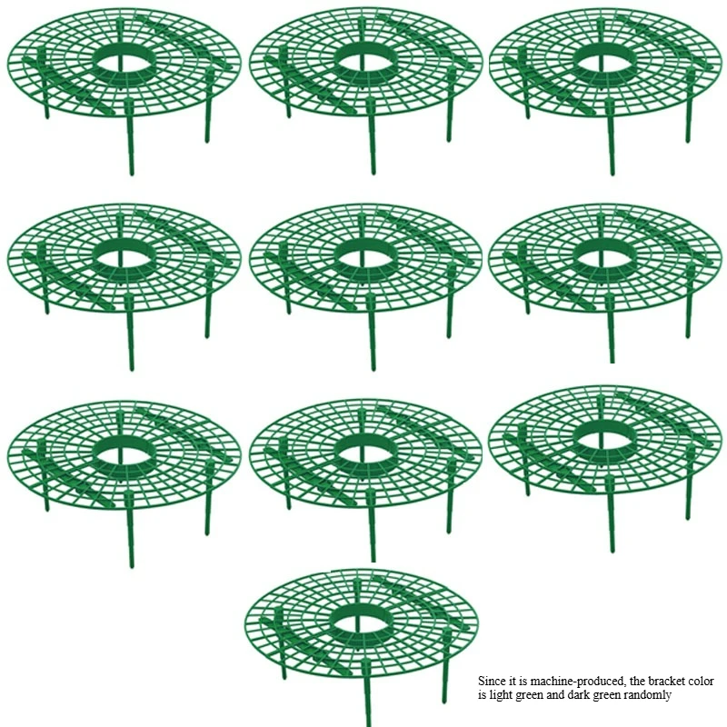10pcs
