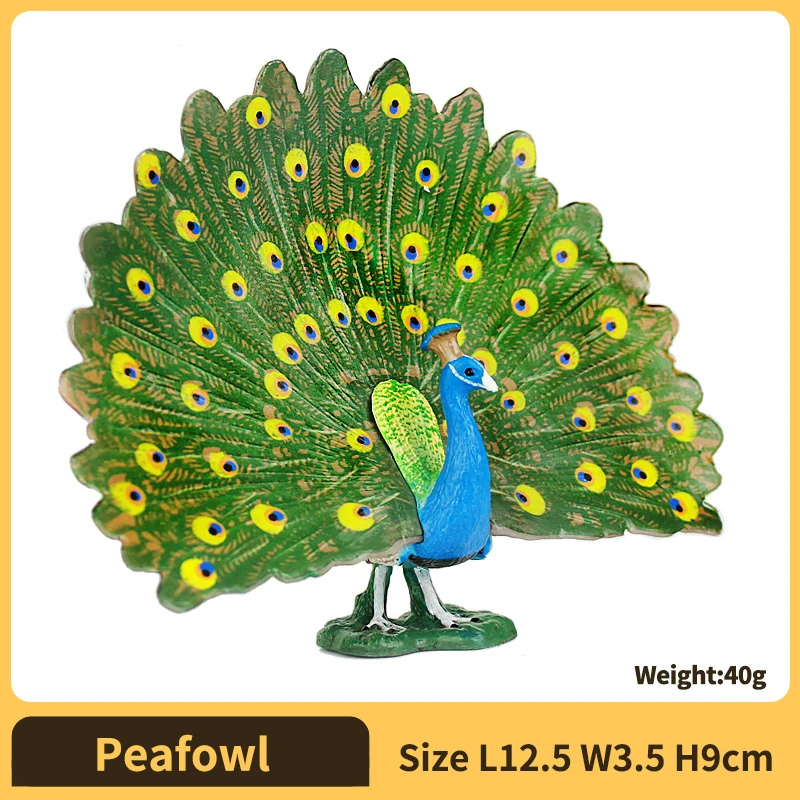 Peafowl