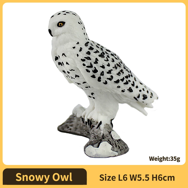 Snowy Owl