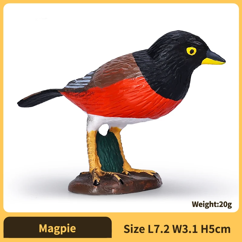 Magpie