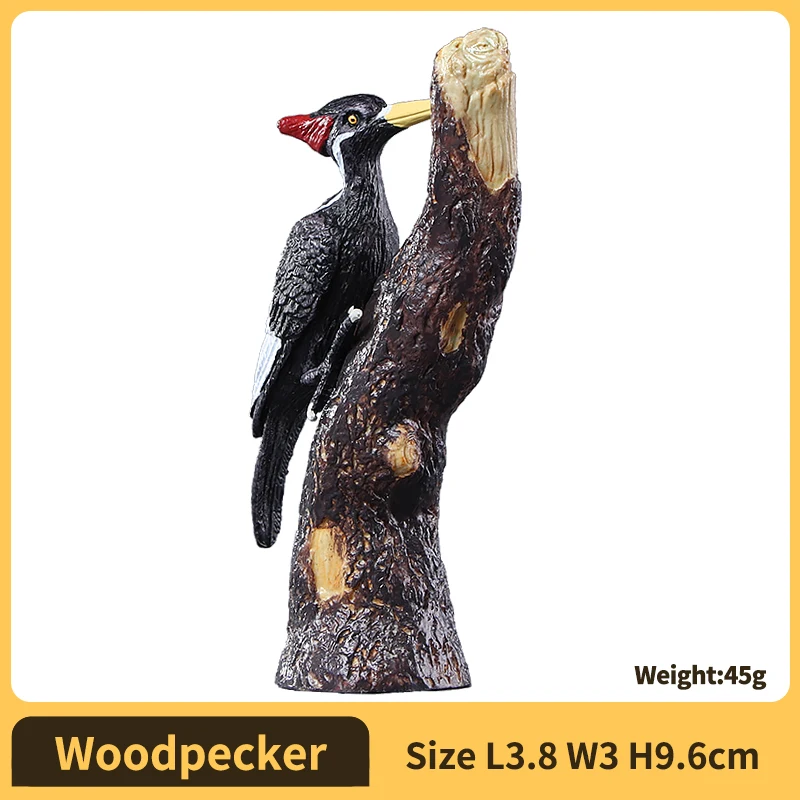 Woodpecker