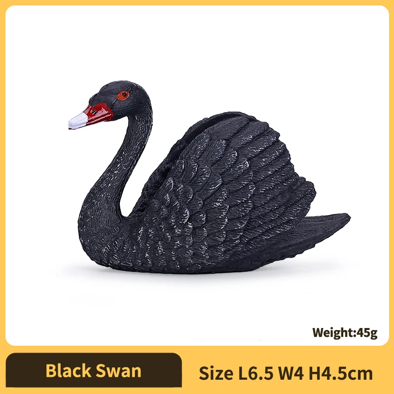 Black Swan