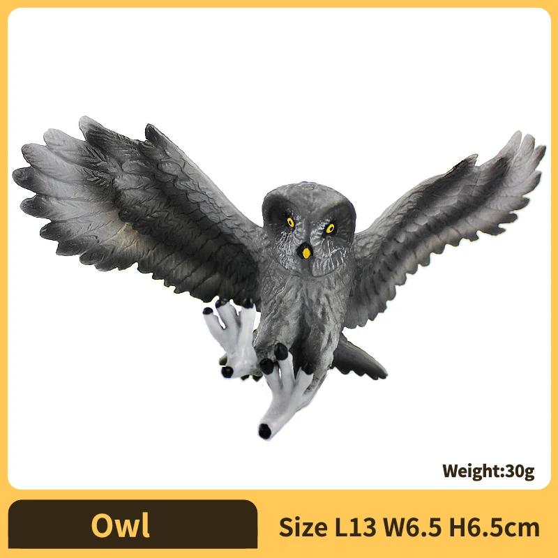 Owl