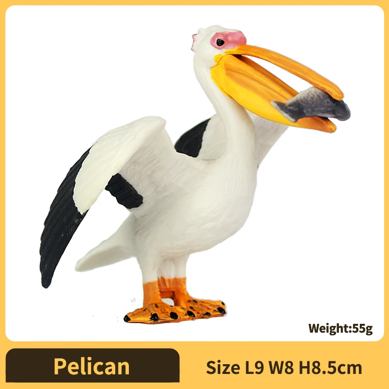 Pelican