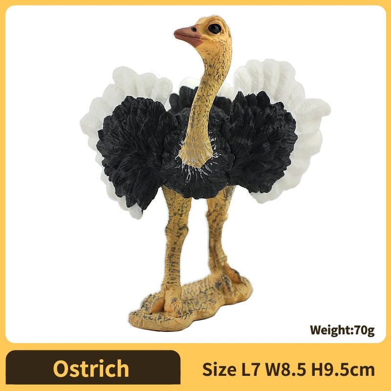 Ostrich