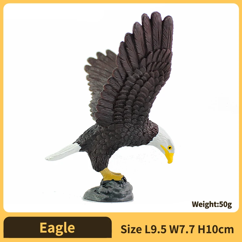 Eagle