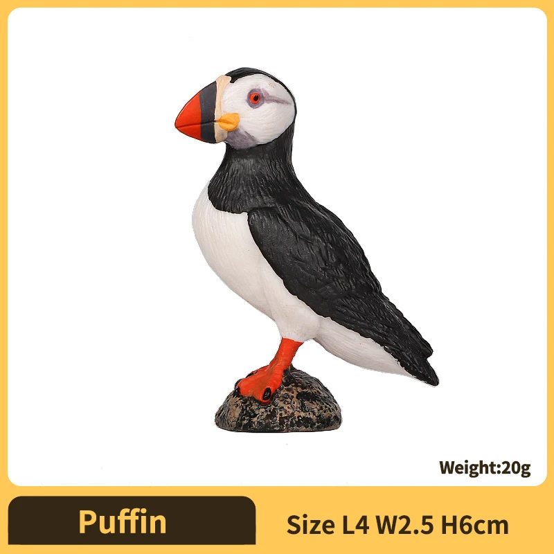 Puffin