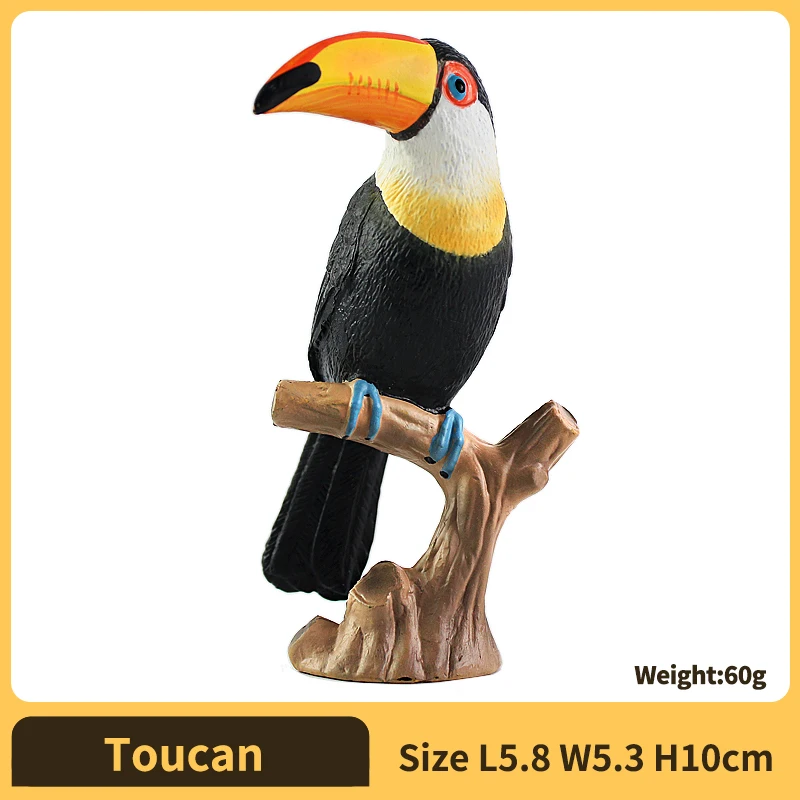 Toucan