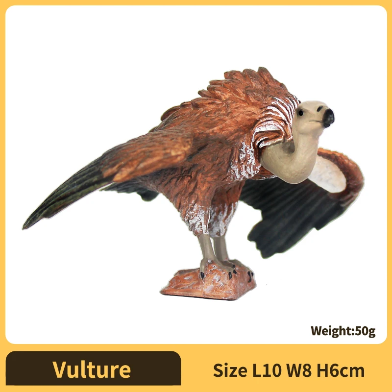 Vulture