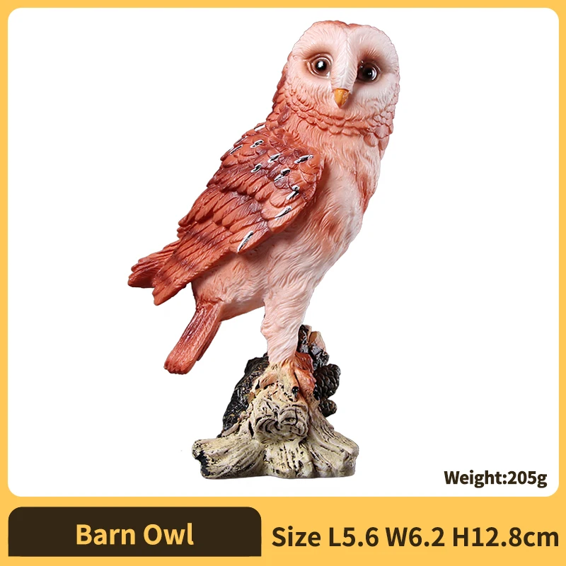 Barn Owl