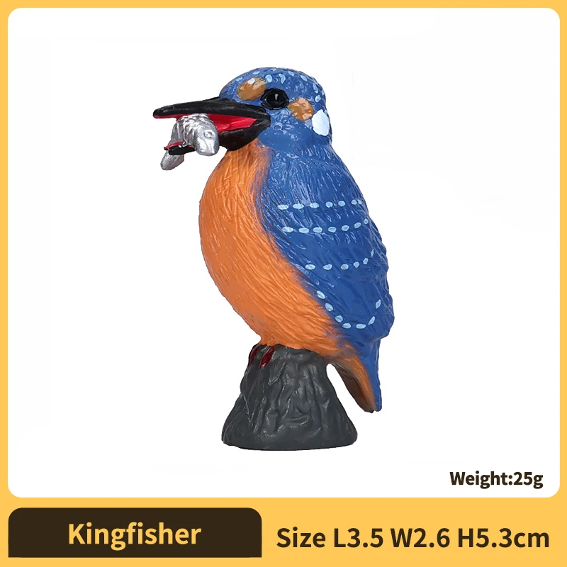 Kingfisher