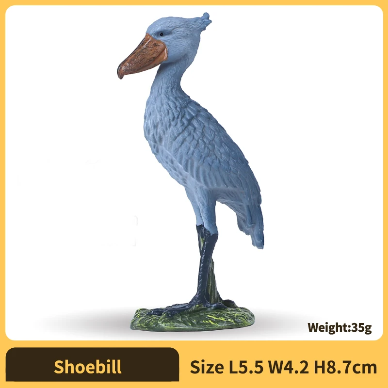 Shoebill