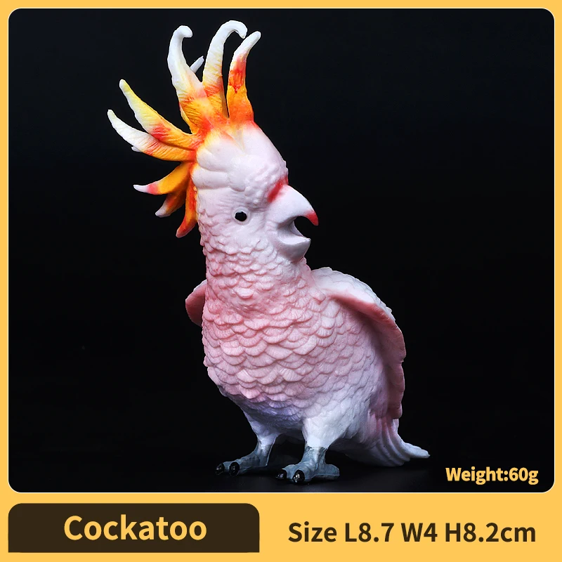 Cockatoo