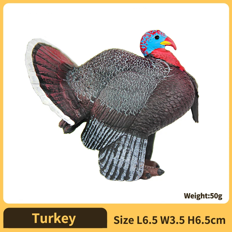 Turkey