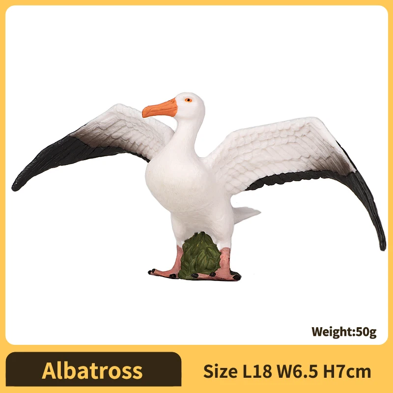Albatross