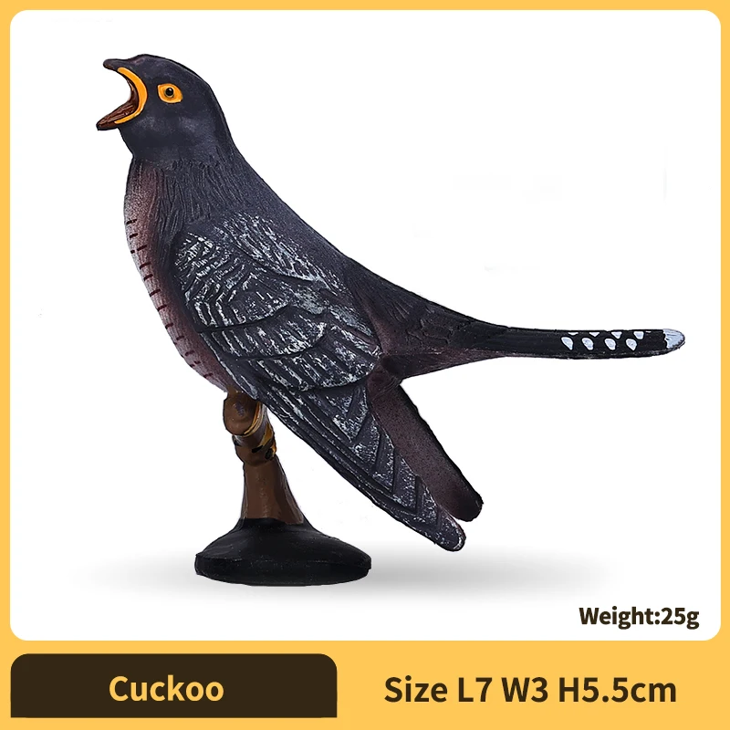 Cuckoo