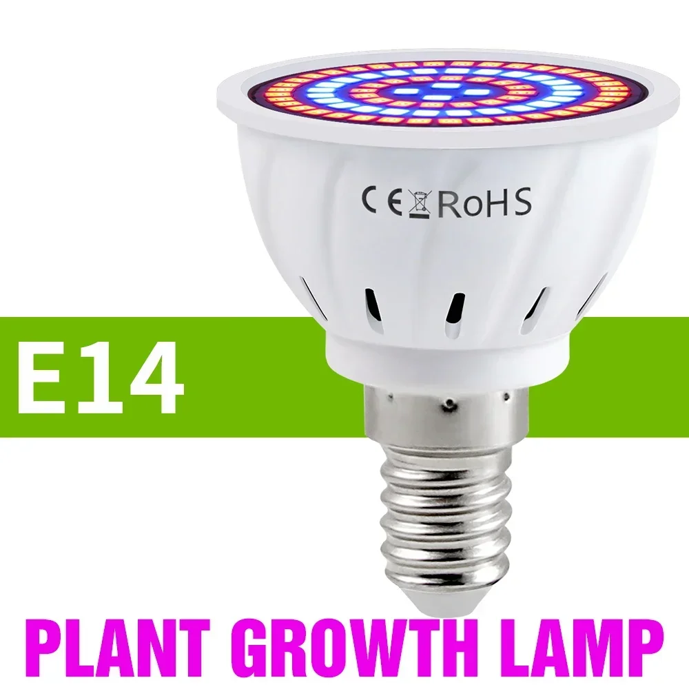 E14