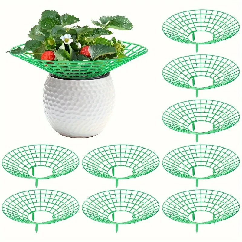 12pcs