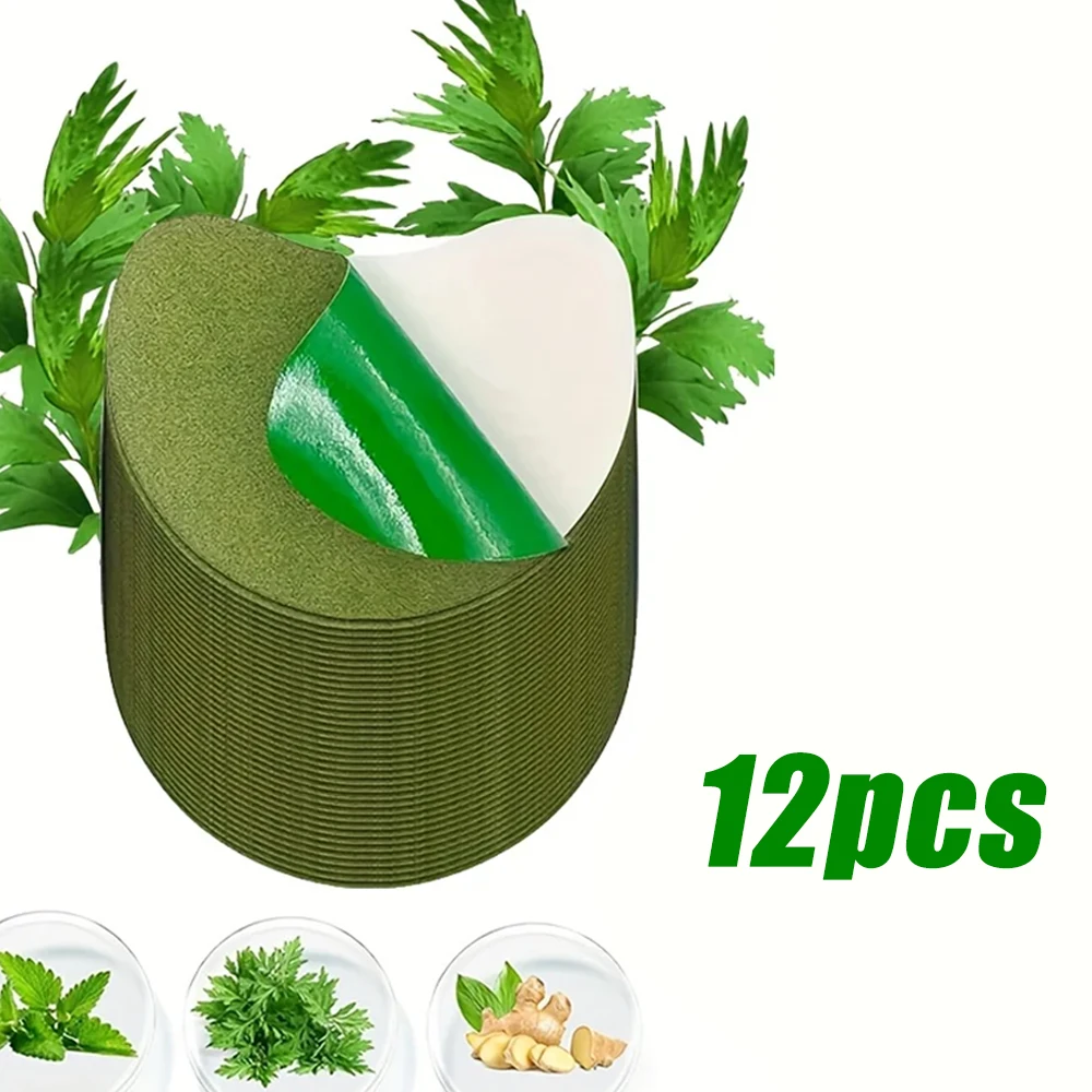 XG-JBT-12PCS