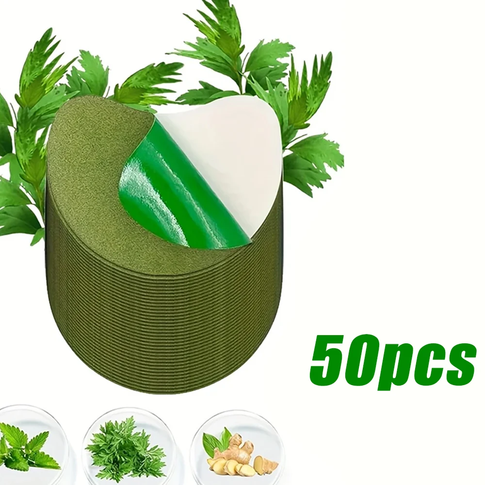 XG-JBT-50PCS