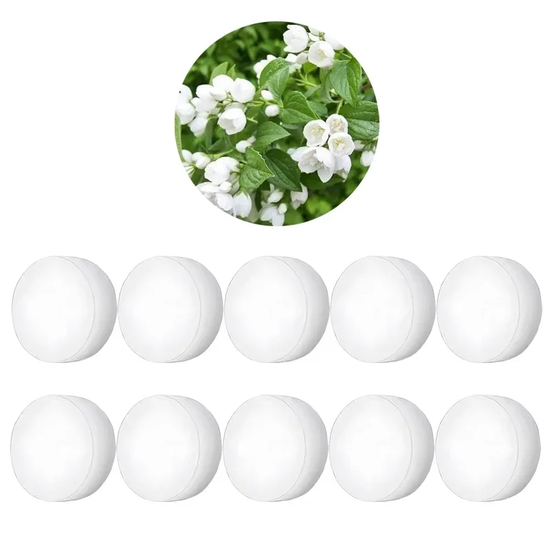 10PCs Jasmine
