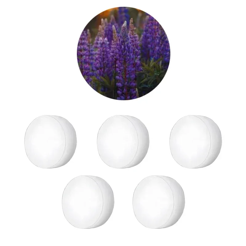 5PCs Lavender