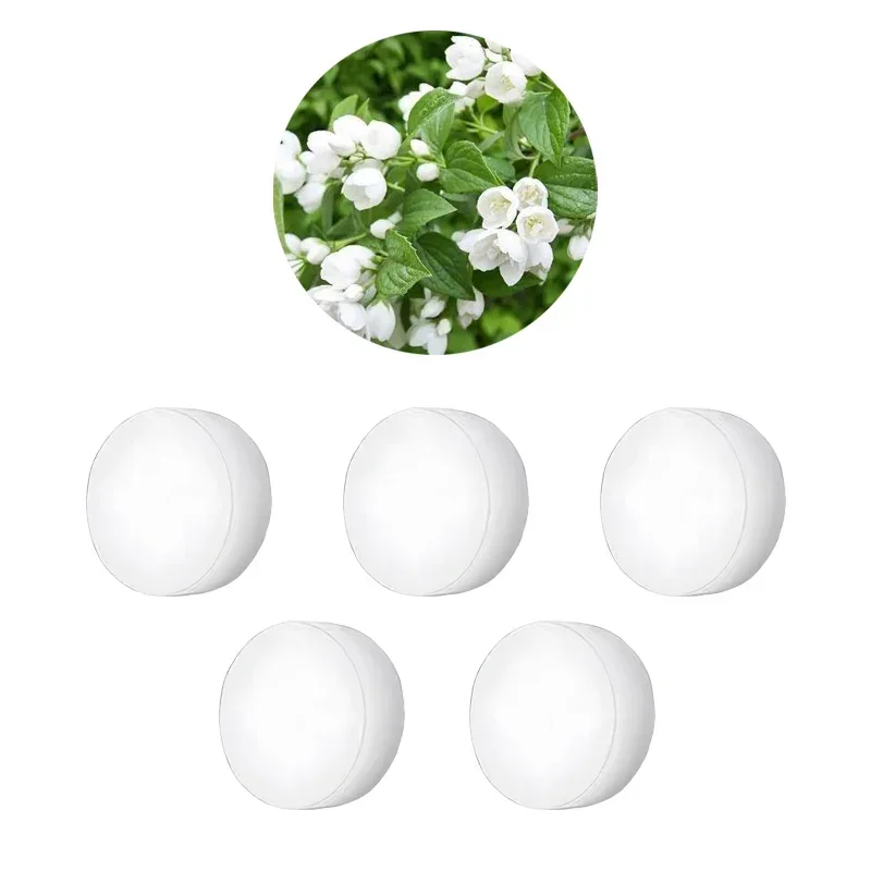 5PCs Jasmine