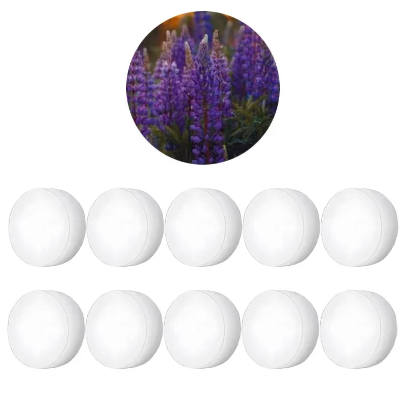 10PCs Lavender