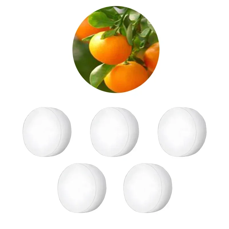 5PCs Cologne