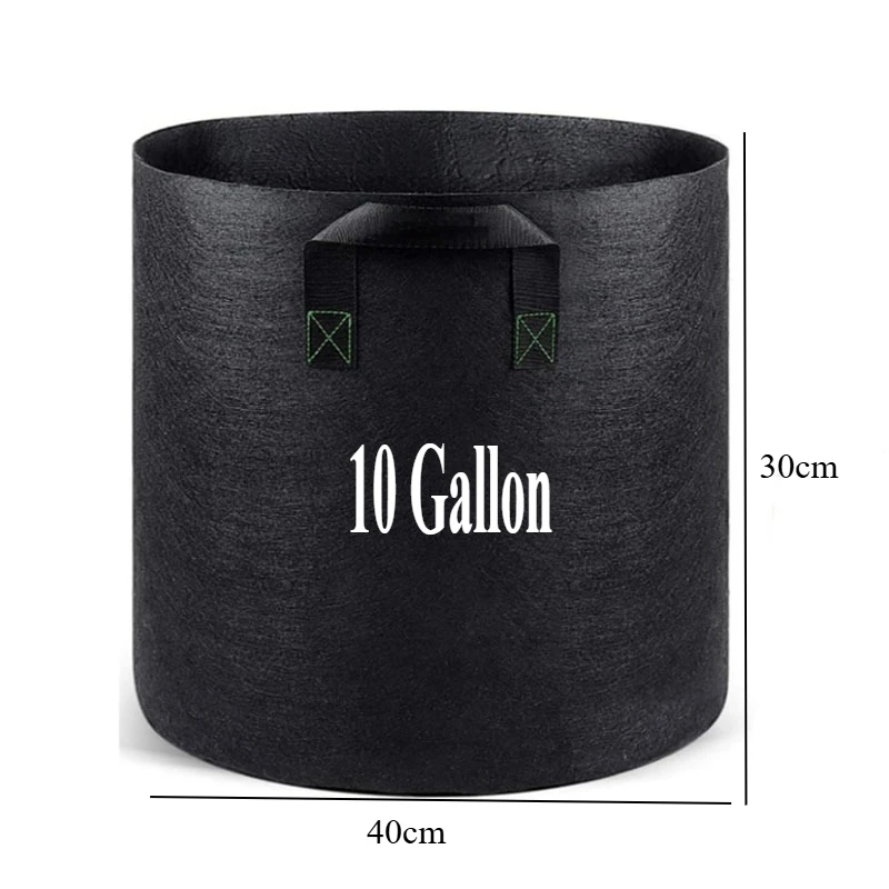 10 Gallon