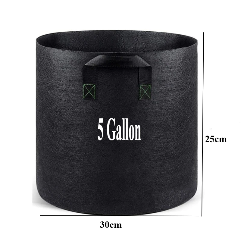 5 Gallon