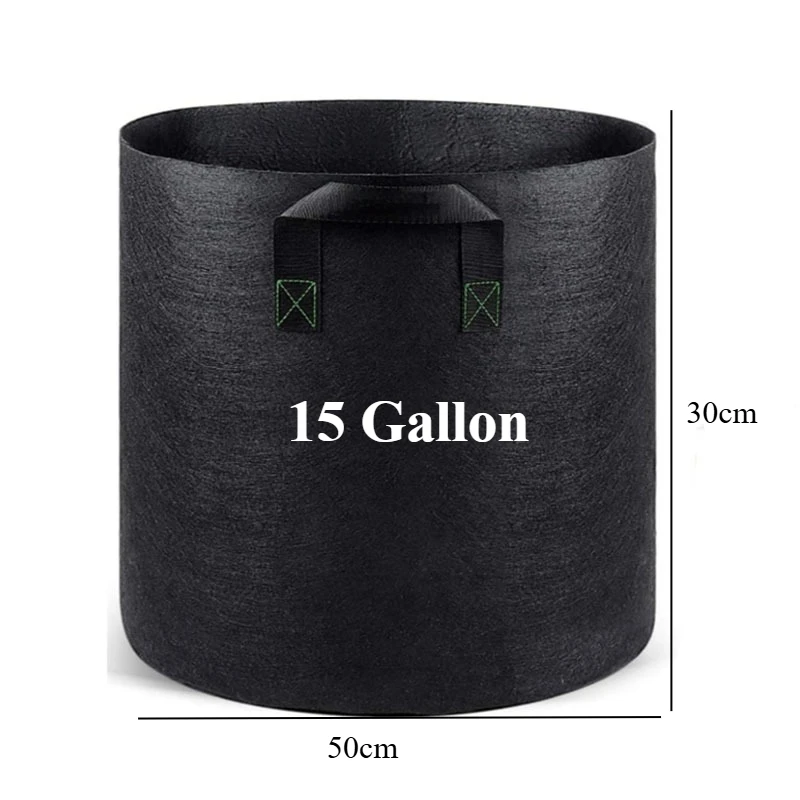 15 Gallon